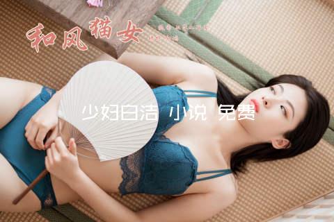 少妇白洁 小说 免费